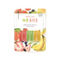 네츄럴코어 하루유산균 혼합 12p 강아지 덴탈껌 개껌, 단품