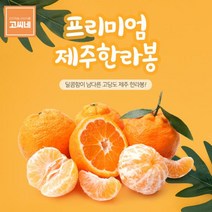 고씨네 프리미엄 한라봉1kg 레드향 한라봉 천혜향레드향 천혜향 한라봉 제주한라봉 제주천혜향 한라봉제철 제주도한라봉 제주레드향 제주도레드향 천혜향제철, 본상품, free