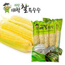 수확 후 바로삶은 괴산 못난이 대학 찰옥수수 40개(4개씩포장)