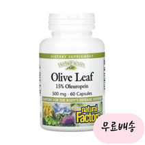 [내츄럴팩터스]-M2-natural Factors 올리브잎추출물 500mg 올레유로핀 15프로 60개입, 1개, 60개