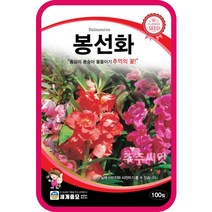 봉선화 씨앗 100립 꽃씨 꽃씨몰 종자 봉숭아 꽃 mix garden balsam 혼합종