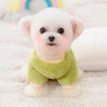 강아지옷 후르츠 후리스 티셔츠 비숑 말티즈 포메 토이 푸들, 오렌지,S