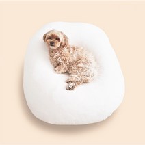 플랫101 강아지 모찌 빈백 고양이 방석 쿠션 말랑 쫀득, 아이보리