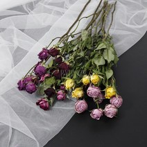 미니 장미 드라이 플라워 (5색) 소이 캔들 석고방향제 인테리어 장식 데코, 엔틱핑크