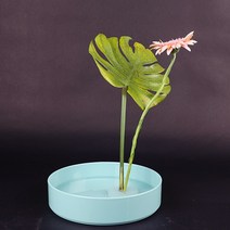 원형 꽃꽂이 생화 수반 고정 흡착식 침봉 DD-11682, 투명