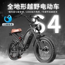 슈퍼73 지디자전거 전기팻바이크 German Giant는 공동 오프로드 전기 자전거 Super 73 산악 자전거 설상차 전기에 적응합니다., 48V, 0아, 차량 전체의 무게를 줄이기 위해 25ah는 국산
