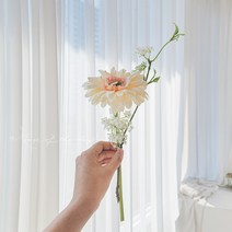 촬영용 조화 서브부케 셀프웨딩소품 브라이덜샤워 크림거베라 한송이부케 로즈오브더데이