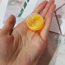 프롬아떼 반투명 뽑기캡슐 6종 세트, 32mmx20개