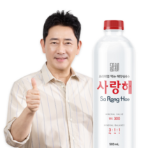 안전한 생수 경도300 미네랄워터 해양심층수 사랑해300 40개 500ml