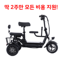 접이식 세발 전기 자전거 삼륜 2인용 노인 펫바이크 배달용 전동 스쿠터 48V, 블랙 10A 3인승