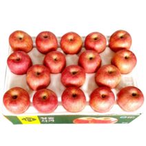 청송탑꿀사과 10kg 24-29과(선물용 대과), 청송탑꿀사과 5kg 16-17과(중대