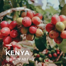 [생두] 케냐 키암부 AB FAQ 5kg
