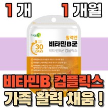 활력 에너비타민 B B군 비군 비 컴플렉스 콤플렉스 컴플릭스 비오틴 판토탠산 판토텐산 식약처인증 40대 50대 60대 군인 회사원 직장인 성인 여성 남성 영양제 먹는 건강 기능식품, 비타민B 컴플렉스 1개월(1개)
