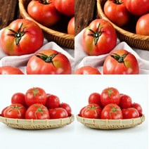 이지리치 완숙 토마토 2.5KG 1번 토마토요리 토마토착즙