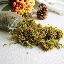 비바리움 이끼테라리움 액자 2050100gpack 미니 시뮬레이션 녹색 식물 인공 이끼 건조한 가정 정원 장식 크리 에이 티브 꽃 액세서리 유지, 100 그램, b