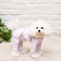 펫디자인 휘트니스 올인원, 연보라