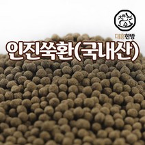 대흥한방 인진쑥환 500g 국내산, 1개