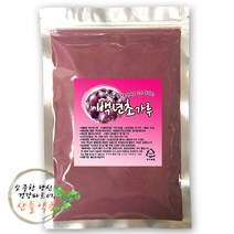 정정지역 제주산 백년초 가루 분말 300g, 백년초가루 300gx1팩