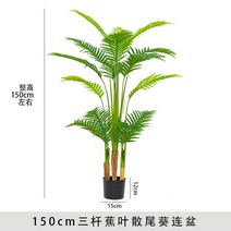 카페 대형 실내조경 플랜테리어 이레카자야 조화나무 생화같은 인조식물 거실, 1.5m 바나나잎 산미규