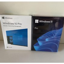 (항공배송) 윈도우10 윈도우11 pro 컴퓨터 설치용 USB CD 패키지 라이센스 동봉, win10 영문판 USB 팩