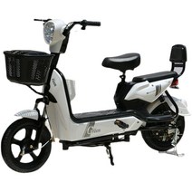 2인용전기자전거 알뜰하게 구매할 수 있는 가격비교 상품 리스트