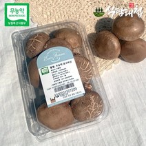 친환경 무농약 표고버섯 180gX3팩, 단품