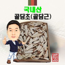 국내산 골담초 600g (경북 영천) 국산