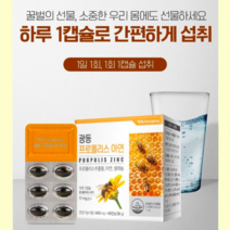 중학생아연 성인아연 영양제아연 어린이면역력