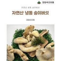 [경동버섯유통 송이 능이]자연산 송이버섯/ 냉동 1pk 냉동송이/L M S 2S 3S C/1kg, C
