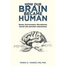 (영문도서) How Our Brain Became Human: Genes Environment Microbiome Social Life and Their Interactions Paperback, Trafford Publishing, English, 9781698713106