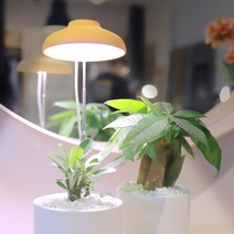 식물전파사 빛뿌리개 LED 식물등 생장 효과 식물 조명, 화이트 (리뉴얼버전 : 멀티스위치)