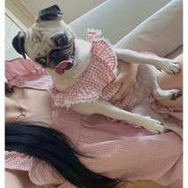 강아지 커플 잠옷 사계절 애견 실내복 견주 커플룩 댕플룩, 리본선택