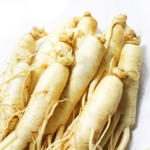국산 가정용 싱싱한 인삼 세척 원삼 6-8편 (500g)