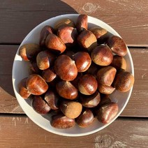 햇 공주밤 [칼집] 1kg - 삶거나 쪄먹는 밤, 상세페이지 참조, 상세페이지 참조, 상세페이지 참조, 상세페이지 참조