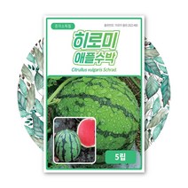 애플수박 종자 5립 히로미 품종