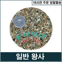 일반 왕사(자연채취)/수족관모래, 단품