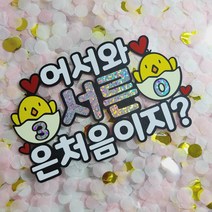 [코니보미] 어서와 서른은 처음이지 30살 서른살 생일토퍼