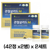관절살리도 옵티엠에스엠 MSM 초록입홍합 보스웰리아 무릎 관절 영양제 OPTIMSM, 2세트, (42정2병)