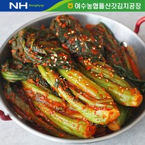 [전통식품인증] 국내산 여수 돌산 갓김치, 5kg, 1개