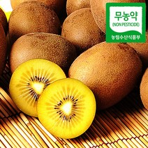 [푸르젠] [해남직송] 무농약 골드키위(해금) 5kg/개당 50g~69g 소과, 002번 5kg/개당 50g~69g 소과, 상세 설명 참조