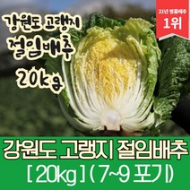 강원도 고랭지 절임배추 20kg, 09월 09일 (토요일)