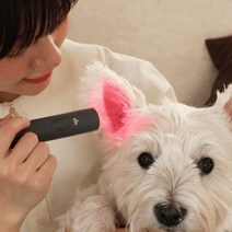 강아지고양이 염증치료기 귀염증 중이염 귓병예방 귀관리기 제디 UV펫큐어라이트, 단품없음