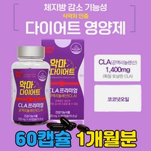 남자 남성 급 다이어트 보조제 체지방 감소 기능성 영양제 뱃살 똥배 거미형 몸매 관리 피하 지방 술살 급찐살 운동안하고 캡슐형 빼는법 먹으면서 중년 내장 지방 복부 CLA DIET