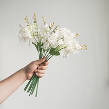 플라우스302 화이트 프리지아 조화 부케 꽃다발 성묘 백일상 소품, A.화이트프리지아