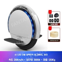 배달전동휠 대리기사전동휠 대리기사외발 배달외발 기사전동, 54v, A1 더블배터리+ 보호장비헬멧+크래시 스트립