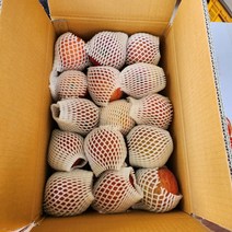 경북 문경 맛있는 꿀사과 가정용 쥬스 주스용 흠집 부사 사과10kg, 가정용사과10kg, 가정용사과10kg(26-32과내외)