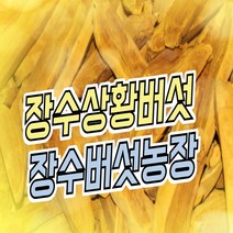 [장수버섯농장] 국내산 최상품 장수 상황버섯 200g, 상황버섯 원형