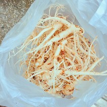 인삼 실속형 오쿠용 가정용 수삼 한채(750g) [비닐포장 세척], 1개