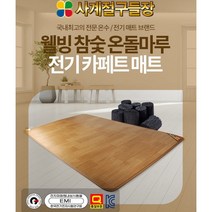 사계절구들장 전기 카페트 매트 6종 온열매트, 원룸형(160x183cm)