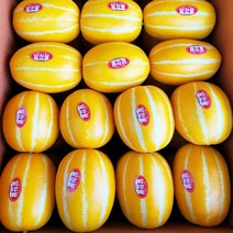 성주 꿀 참외 정품 프리미엄 10kg 로얄사이즈, 정품 10kg 로얄사이즈